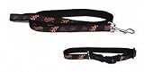 Baltimore Orioles Pet Accessories Set - Medium (6' Leash, Collar, and ID Tag)