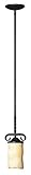 Hinkley Lighting 4017OL Casa Pendant Light by Hinkley