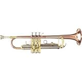 Barrington BRG101 Series Student Bb Trumpet, Silver