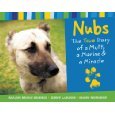 Nubs