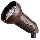 Adjustable 120 Volt Landscape Accent Light