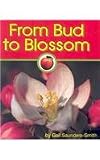 From Bud to Blossom (Apples)