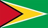 Guyana Flag