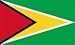 Guyana Flag