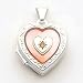Sterling Silver Pink MOP (Mother of Pearl) Diamond 2-frame Heart Locket with 20 inch Sterling Silver Chain