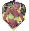 Harrows Bikini Standard Dart Flights (1 Set Of 3) 1502