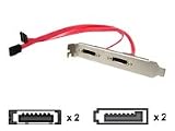 2PORT Sata To Esata Slot Plate M/f