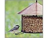 Large Deluxe Wire Mesh Feeder