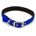 20X1 2PLY NYLON BLUE COLLAR
