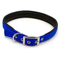 Nylon Collar, Blue 1" x 20"