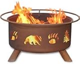 Bear & Trees Fire Pit