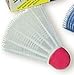 Sports : 5 Badminton HOBBY B&Auml;LLE Lion / 46601