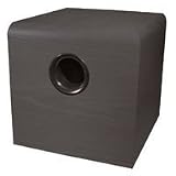 Active 100 Watt 10 Sub Woofer