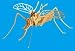 Search : Mosquito Woodkit By Action Products