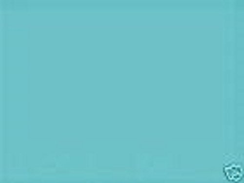 Sea Foam Green Dye Blocks (Blue Green) - Pack of 12 Blocks, priced per package
