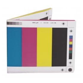 Wallet - Colour Bar