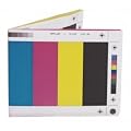 Wallet - Colour Bar