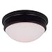 Search : Kenroy Home 90687BNI Moonlight 3-Light Flush Mount, Brushed Nickel