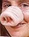 Pig Nose Halloween Accessory