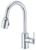 Danze - Parma - Single Handle Pull-Down Kitchen Faucet