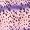 Purple Mix