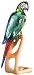 Macaw, Chrome Green