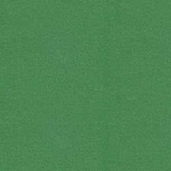 Pristine Powders Edible Luster Dust ~ Food Color (Spearmint)