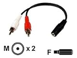 Cables Unlimted AUD3045 6-inch 3.5mm Stereo Jack to Dual RCA Cable