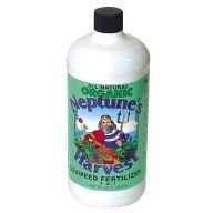Neptunes Seaweed Qt