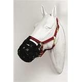 Grazing Muzzle Horse
