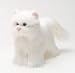 Aurora Plush Angelica White Cat Mini Flopsie 8"