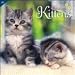 Curious Kittens 2010 Wall Calendar