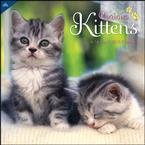 Curious Kittens 2010 Wall Calendar