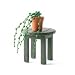 Dollhouse Miniature String of Pearls Plant in Clay Pot