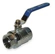 Industrial Grade 1PYT6 Ball Valve, Brass, 1/4 In NPT F x F