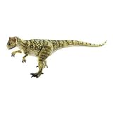 Allosaurus Museum Line