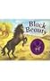 Black Beauty (Charm Book Classics)