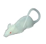 Glow in the Dark Rat