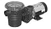 Waterway  Hi-flo Pump, Dual Speed, Top Discharge, 1  HP