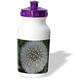 Rebecca Anne Grant Photography Nature Flowers - Dandelion Flower - Water Bottles