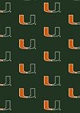 Miami Hurricanes 3 10 x 5 4 Team Repeat Area Rug