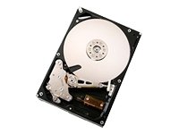 1000GB 3,5