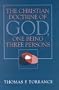 The Christian Doctrine of God: One Being, Three Persons