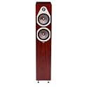 Floorstanding Speaker