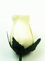 Wooden Roses 8 Piece (Pack) White