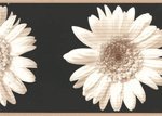 Black Daisy Wallpaper Border