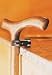 Cane holder