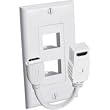 Dual Female In HDmi Wall Plate
