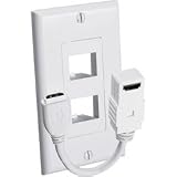 Dual Female In HDmi Wall Plate