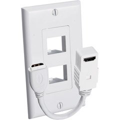 Dual Female In HDmi Wall Plate